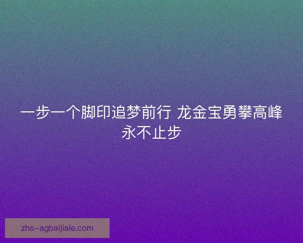 一步一个脚印追梦前行 龙金宝勇攀高峰永不止步